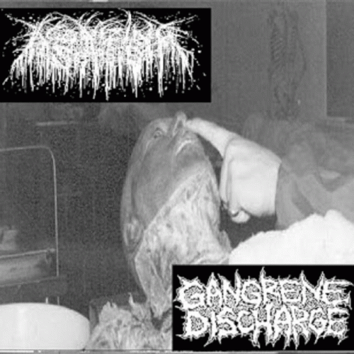 Gangrene Discharge : Agonizing Sepsis - Gangrene Discharge